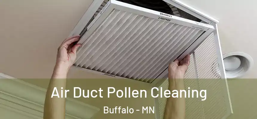 Air Duct Pollen Cleaning Buffalo - MN