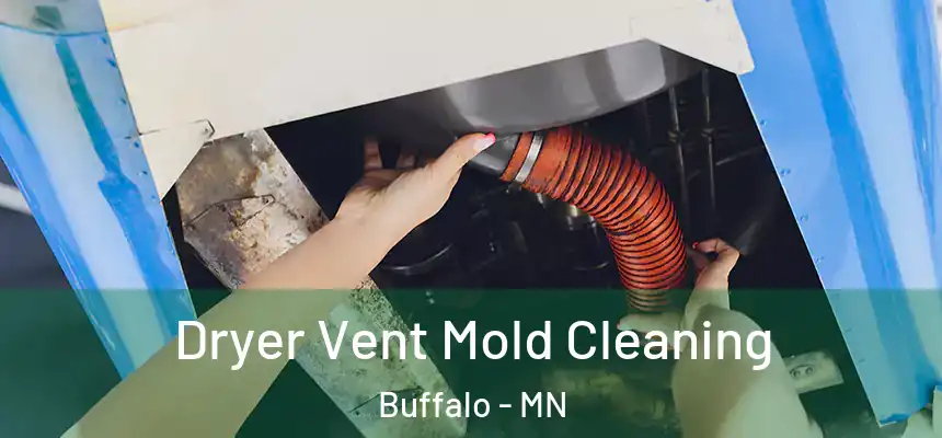  Dryer Vent Mold Cleaning Buffalo - MN