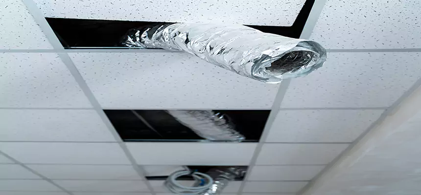 Our Air Duct Pet Hair Removal Services in Buffalo, MN