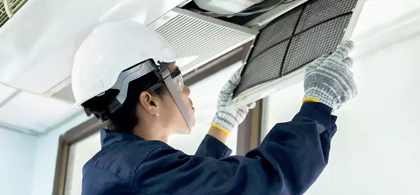 Our Mold & Mildew Removal from Air Ducts Services in Buffalo, MN