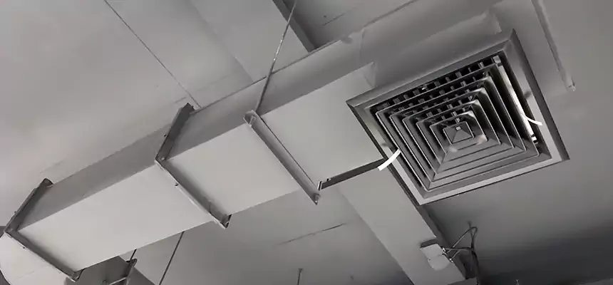 Our Pest Removal From Ducts Services in Buffalo, MN