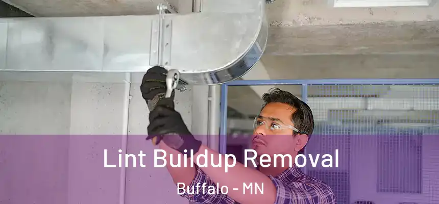  Lint Buildup Removal Buffalo - MN