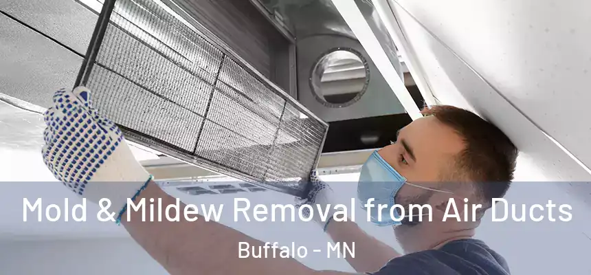  Mold & Mildew Removal from Air Ducts Buffalo - MN