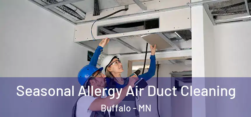  Seasonal Allergy Air Duct Cleaning Buffalo - MN