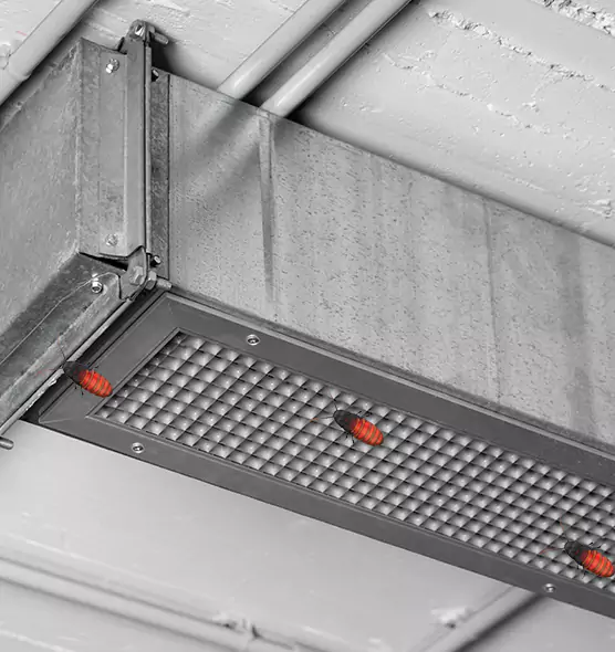 About Air Duct Cockroach Removal in Buffalo, MN