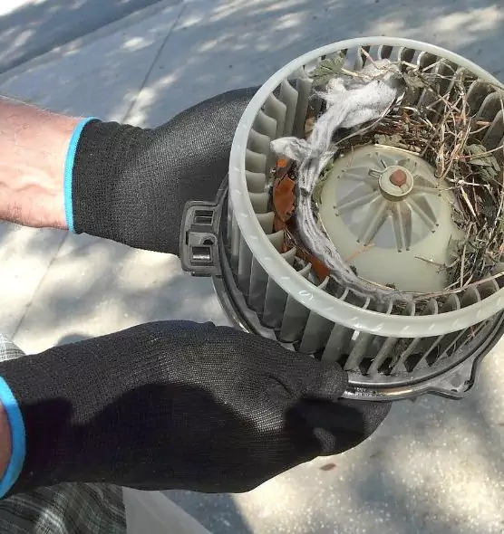 About Air Duct Rat Removal in Buffalo, MN