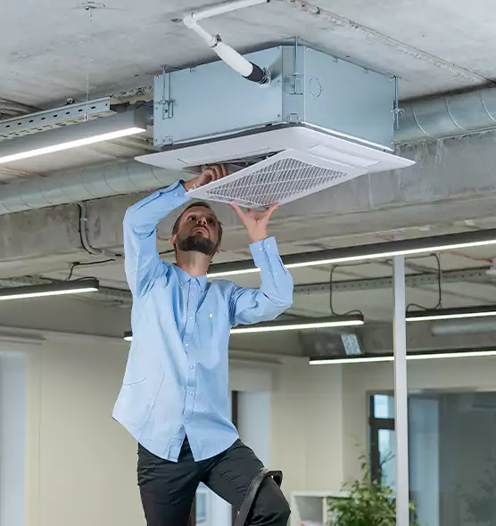 Advanced Rodent Droppings In Vents in Buffalo, MN