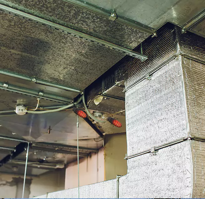 Why Homeowners & Businesses Trust Us Buffalo, MN?