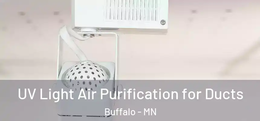  UV Light Air Purification for Ducts Buffalo - MN